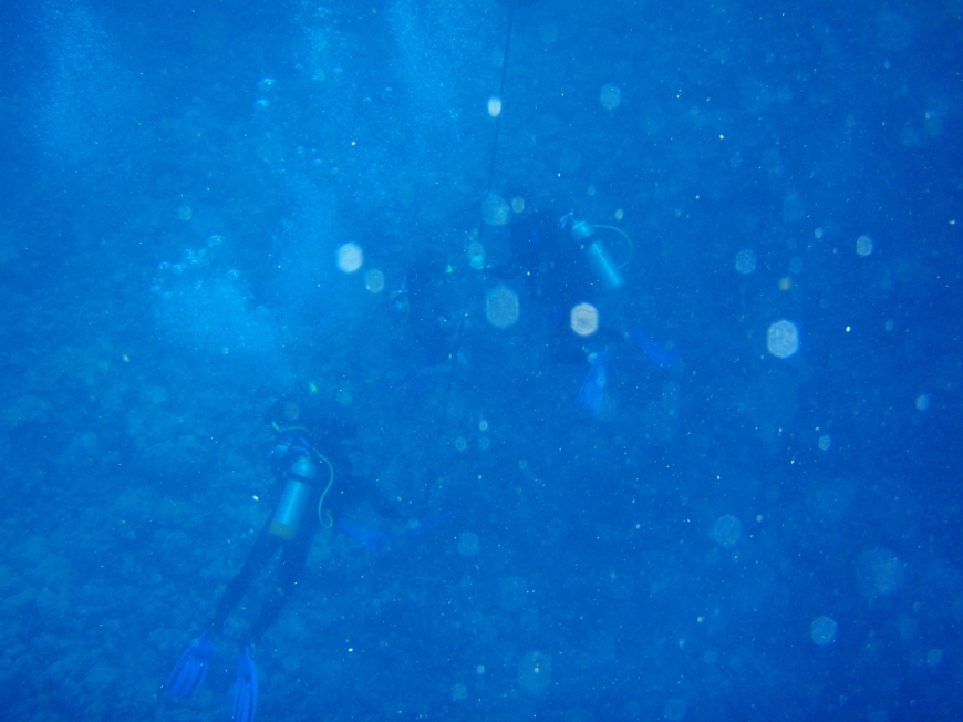 Dan SCUBA diving
